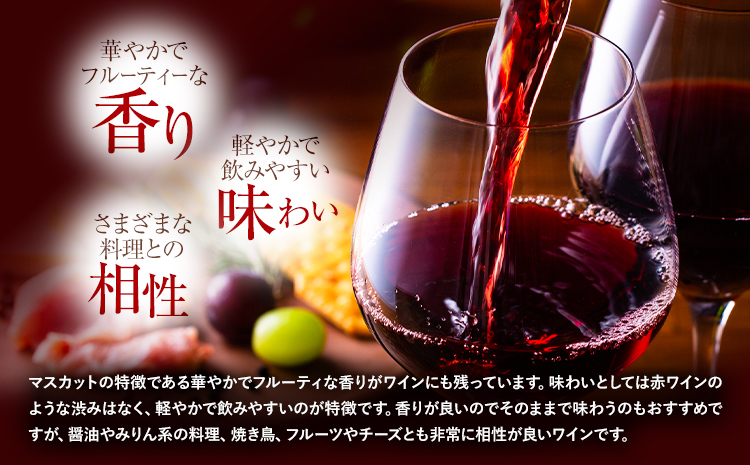 酒 日本ワイン 720ml 1本 矢掛放送 岡山県矢掛町《30日以内に出荷予定(土日祝除く)》 酒 ワイン 国産 ヒロハンブルグ 赤ワイン 国産 ブドウ---osy_cyhwine_30d_25_37000_1---