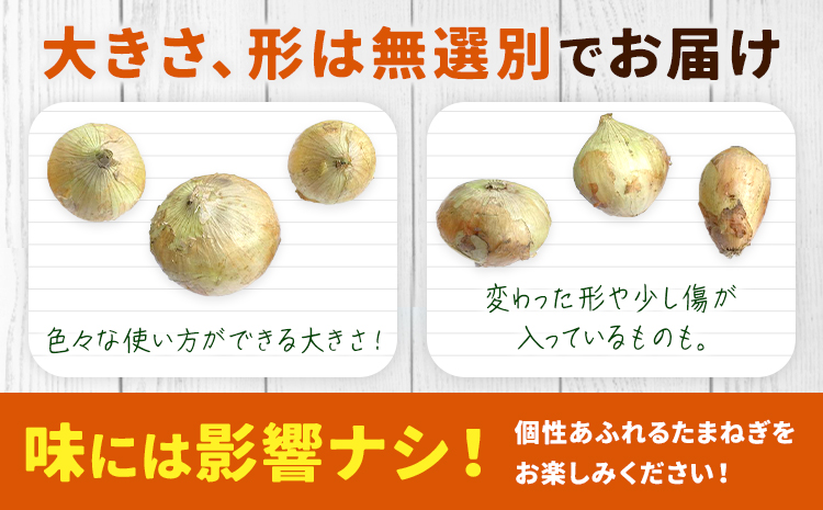 矢掛町産 訳あり 玉ねぎ 約2kg たまねぎ 大きさ不揃い 訳ありたまねぎ《5月末～7月中旬頃に出荷予定》 約 2kg 野菜 岡山県 矢掛町---ofn_ytn_e57_25_4500_2---