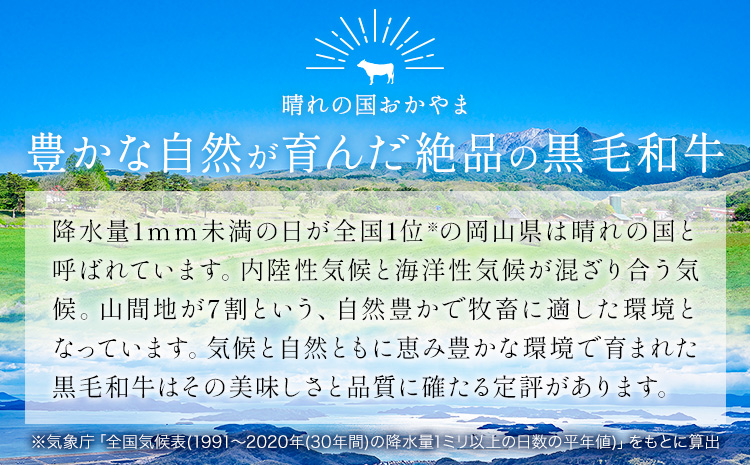 リブ or サーロイン ステーキ 1000g 数量限定 牛肉 冷凍 黒毛和牛 《30日以内に出荷予定(土日祝除く)》 個別 取分け 小分け 個包装 赤身 霜降り 岡山県 矢掛町 牛 牛肉 和牛 ステーキ グルメ 小分け 小分けパック 250g 送料無料---ofn_fste_30d_25_26000_1000---