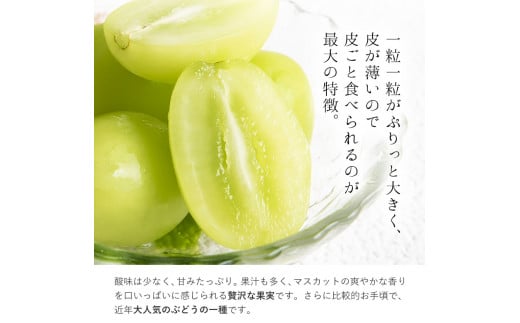 秀品 シャインマスカット 約1.2kg 2房 《9月中旬-11月上旬頃出荷》---ofn_cssm_ad911_26_24000_2---st-p