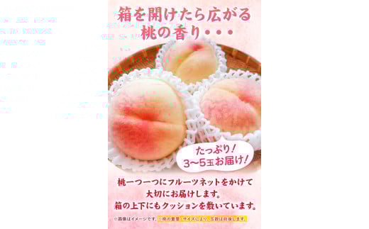 【2026年発送先行予約】岡山の桃 約1kg 3～5玉前後《2026年6月下旬-9月上旬頃出荷》 フルーツ 果物 岡山 矢掛町 ---ofn_cwomx_l69_25_10000_1000---