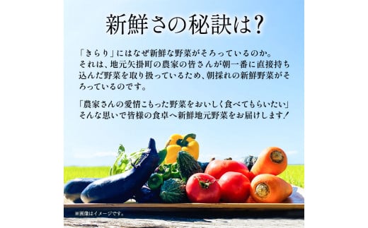 【12ヶ月定期便】旬の新鮮野菜詰め合わせセット 青空市きらり 《お申込み月の翌月から出荷開始》 矢掛町 野菜 トマト 玉ねぎ ---osy_cakystei_24_86000_mo12num_s---