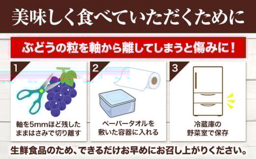 【先行予約】 岡山県産 つる付きニューピオーネ 3房 540g以上 ハウス栽培 《7月上旬-8月下旬頃出荷》 【配送不可地域あり】---osy_chbf18_ak7_26_29000_3---