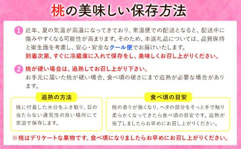 【2026年発送先行予約】岡山の桃 約4kg 《2026年6月下旬-9月上旬頃出荷》 フルーツ 果物 岡山 矢掛町 ---ofn_cwomx_l69_25_36000_4---