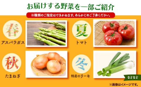 旬の新鮮野菜詰め合わせセット 青空市きらり 《30日以内に出荷予定》 野菜 矢掛町 野菜 トマト 野菜 きゅうり 野菜 玉ねぎ 野菜 リーキ 送料無料 野菜 詰め合わせ 旬 野菜 野菜 野菜 野菜 野菜 野菜 野菜 野菜 野菜 野菜 ---osy_ckrrys_30d_24_8000_s---