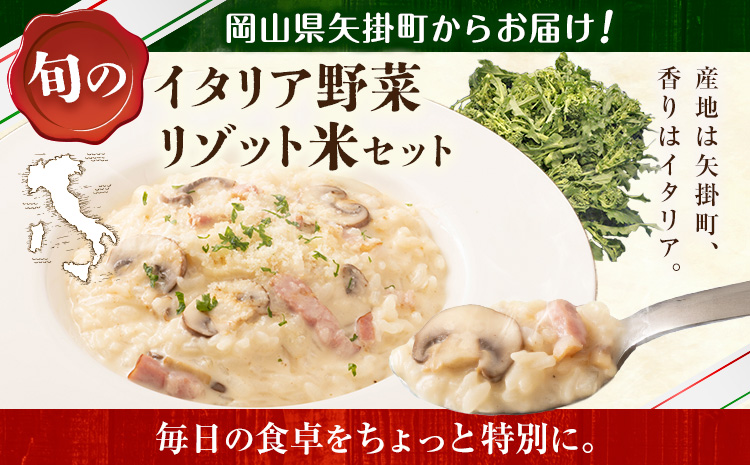 野菜 米 旬の イタリア野菜 2品目 リゾット米 1kg セット 《1月上旬-3月末頃出荷》JA晴れの国 矢掛アグリセンター 野菜 ねぎ ネギ 国産 イタリア リーキ プレコーチェ カタローニャ 西洋 リゾット 送料無料---osy_cjyaibr_af13_26_10000_s---