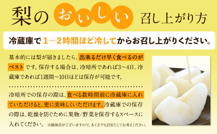 【先行予約】訳あり 岡山県産 旬の梨 約4kg 3～10玉前後 梨 訳あり 優品 新高 愛宕 王秋梨 鴨梨 スイーツ フルーツ デザート 旬 岡山県矢掛町《9月上旬-1月末頃に出荷予定》数量限定---ofn_wsnx_af91_25_17500_4kg---