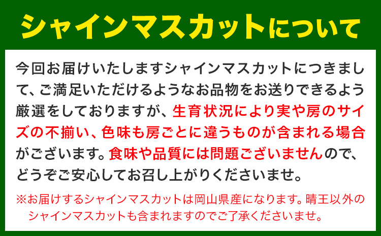 【2026年発送先行予約】 厳選 シャインマスカット 約2kg(3～4房)《2026年9月上旬～11月中旬頃出荷(土日祝除く》シャインマスカット 岡山 マスカット シャインマスカット  ---ofn_cwsmx_ae911_26_19000_2---