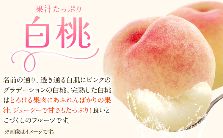 【先行予約】 岡山白桃 & シャインマスカット（晴王）& ニューピオーネ セット【配送不可地域あり】(離島、北海道、沖縄) 白桃 ロイヤル シャインマスカット 1房 ニューピオーネ 1房《7月上旬-8月中旬頃出荷》 岡山県 矢掛町 桃 もも 晴王 ぶどう 詰め合わせ 果物---osy_chbf33_ae7_26_23000_ss---