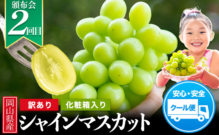 【2026年発送先行予約】 岡山県産 旬の人気 くだもの 定期便 全2回 桃 約1.3.kg (4～8玉前後) シャインマスカット 約1.3kg (2房) 《7月上旬‐10月末頃出荷》フルーツ 果物 定期便 お取り寄せ デザート 送料無料---osy_cmsxtei_26_25000_jul2---