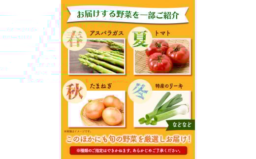 【12ヶ月定期便】旬の新鮮野菜詰め合わせセット 青空市きらり 《お申込み月の翌月から出荷開始》 矢掛町 野菜 トマト 玉ねぎ ---osy_cakystei_24_86000_mo12num_s---