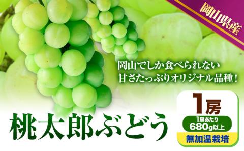 【先行予約】 岡山県産 桃太郎ぶどう 1房 (680g以上) 無加温栽培 【配送不可地域あり】 《9月上旬-10月下旬頃出荷》 ぶどう---osy_chbf5_ak9_26_18000_1---