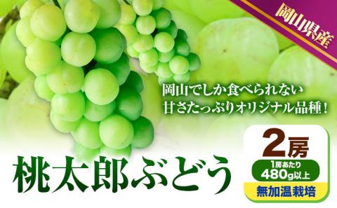 【先行予約】 岡山県産 桃太郎ぶどう 2房 (480g以上) 無加温栽培 【配送不可地域あり】 《9月上旬-10月下旬頃出荷》 ---osy_chbf7_ak9_26_23000_2---