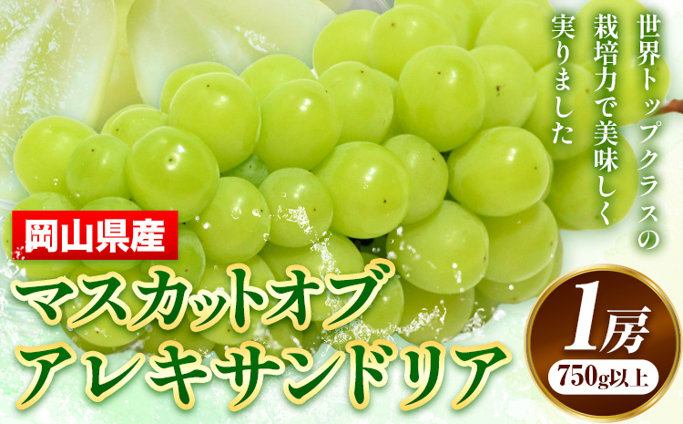 【先行予約】 岡山県産 マスカット 1房 (750g以上) 【配送不可地域あり】 《7月上旬-8月下旬頃出荷》 岡山県 矢掛町 ---osy_chbf8_ak7_26_21500_1---