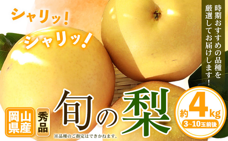 【先行予約】秀品 岡山県産 旬の 梨 約4kg 3～10玉前後 梨 秀品 新高 愛宕 スイーツ フルーツ デザート 旬 岡山県矢掛町《9月上旬-1月末頃に出荷予定》---ofn_ssnx_af91_25_22500_4kg---