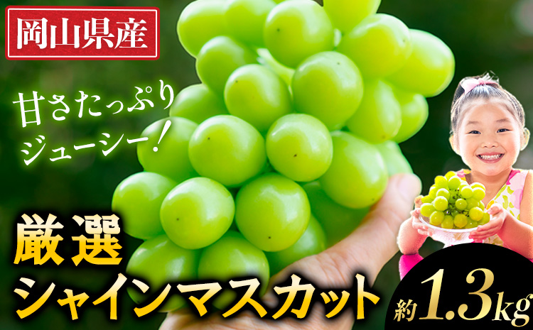 【2026年発送先行予約】 厳選 シャインマスカット 約1.3kg(2-3房) 岡山《2026年9月上旬～11月中旬頃出荷(土日祝除く)》 ---ofn_cwsmx_ae911_26_13500_2---