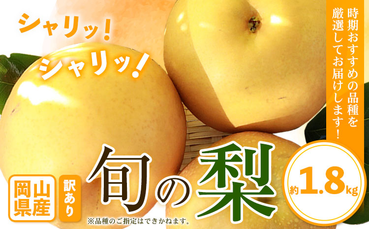 訳あり 岡山県産 旬の梨 約1.8kg 2～5玉前後 梨 訳あり 優品 新高 愛宕 王秋梨 鴨梨 スイーツ フルーツ デザート 旬 岡山県矢掛町《9月上旬-1月末頃に出荷予定》数量限定 ---ofn_wsnx_af91_25_9500_4kg---