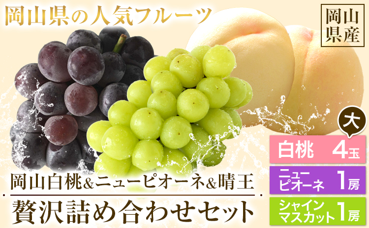 【先行予約】 岡山白桃 & シャインマスカット（晴王）& ニューピオーネ セット【配送不可地域あり】(離島、北海道、沖縄)白桃 ロイヤル シャインマスカット 1房 ニューピオーネ 1房《7月上旬-8月中旬頃出荷》 岡山県 矢掛町 桃 もも 晴王 ぶどう 詰め合わせ 果物---osy_chbf34_ae7_26_41500_ls---