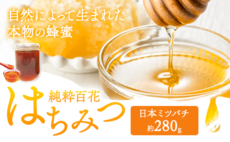 純粋百花 はちみつ 日本ミツバチ 有限会社ホクト 《30日以内に出荷予定(土日祝除く)》岡山県 矢掛町 はちみつ ハチミツ トースト 蜂蜜---osy_hktjh_30d_24_12000_280---