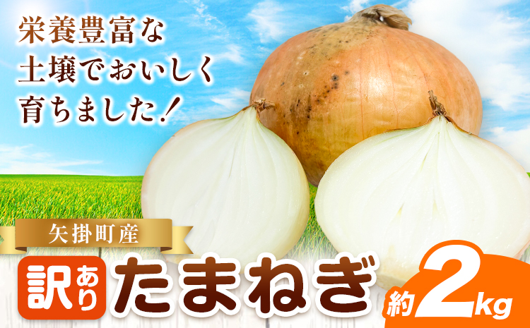 矢掛町産 訳あり 玉ねぎ 約2kg たまねぎ 大きさ不揃い 訳ありたまねぎ《5月末～7月中旬頃に出荷予定》 約 2kg 野菜 岡山県 矢掛町---ofn_ytn_e57_25_4500_2---