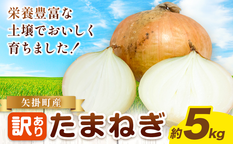 矢掛町産 訳あり 玉ねぎ 約5kg たまねぎ 大きさ不揃い 訳ありたまねぎ《5月末～7月中旬頃に出荷予定》 約 5kg 野菜 岡山県 矢掛町---ofn_ytn_e57_25_6500_5---