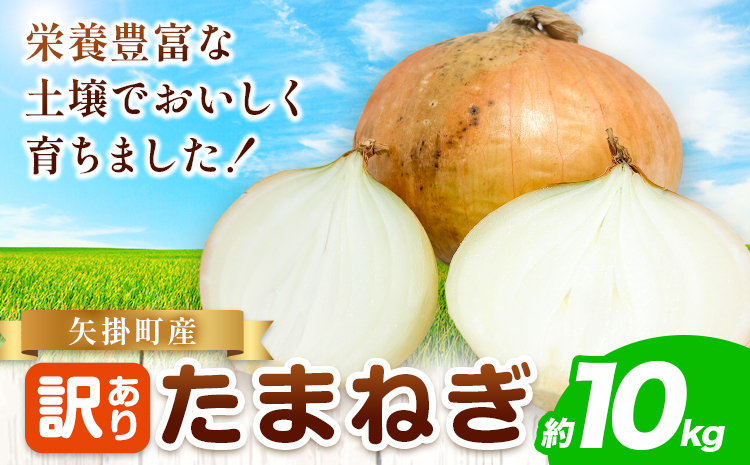 矢掛町産 訳あり 玉ねぎ 約10kg たまねぎ 大きさ不揃い 訳ありたまねぎ《5月末～7月中旬頃に出荷予定》 約 10kg 野菜 岡山県 矢掛町---ofn_ytn_e57_25_9000_10---