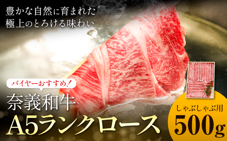 奈義和牛 A5ランクロース バイヤーおすすめ！ しゃぶしゃぶ用 500g 株式会社 天満屋《30日以内に出荷予定(土日祝除く)》岡山県 矢掛町 和牛 牛肉 肉 A5ランク しゃぶしゃぶ 送料無料---osy_ctmyngs_30d_25_36000_500---