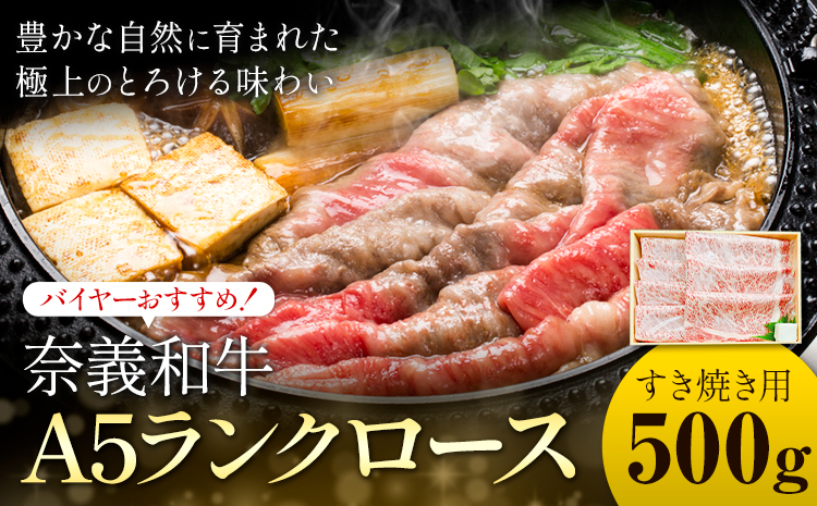 奈義和牛 A5ランクロース バイヤーおすすめ！ すき焼き用 500g 株式会社 天満屋《30日以内に出荷予定(土日祝除く)》岡山県 矢掛町 和牛 牛肉 肉 A5ランク すき焼き 送料無料---osy_ctmyngy_30d_25_36000_500---