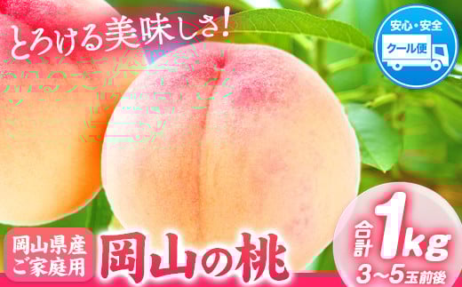 【2026年発送先行予約】岡山の桃 約1kg 3～5玉前後《2026年6月下旬-9月上旬頃出荷》 フルーツ 果物 岡山 矢掛町 ---ofn_cwomx_l69_25_10000_1000---