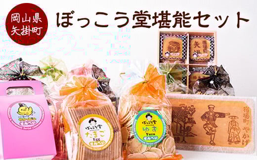 ぼっこう堂堪能セット 《60日以内に出荷予定(土日祝除く)》 ぼっこう堂 手焼き せんべい 煎餅 詰め合わせ---osy_bokkotanset_60d_24_25500_15i---