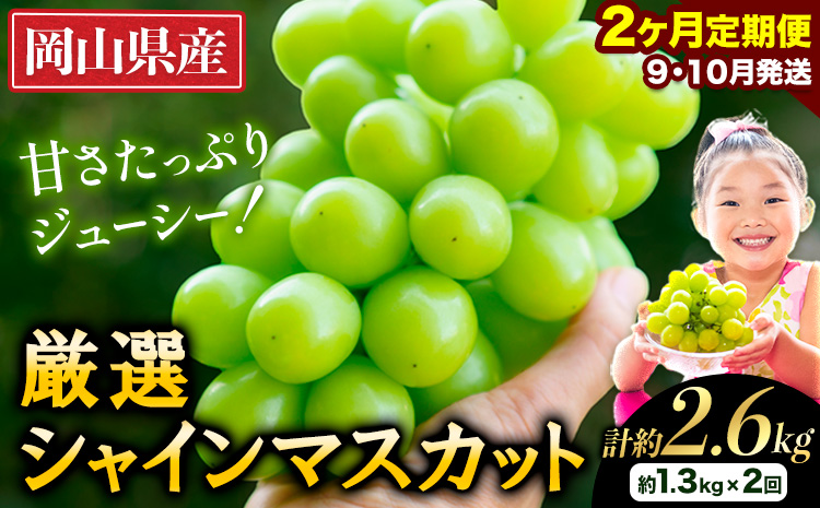 [先行予約]厳選 シャインマスカット 計約2.6kg 定期便 2か月 ぶどう 1位 シャインマスカット フルーツ 数量限定 シャインマスカット 果物 岡山 シャインマスカット 晴王 ブドウ シャイン [2025年9月上旬-11月中旬頃出荷]---ofn_cwsmtei_25_26000_sep2---