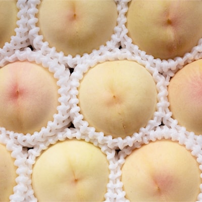 岡山県産「おかやま夢白桃」約3kg|7月下旬頃～順次発送【配送不可地域：離島】