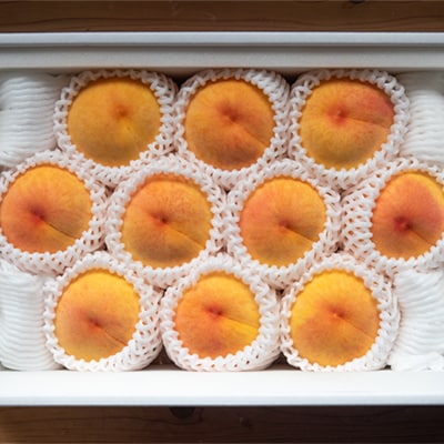 岡山県産「黄金桃」約3kg|8月下旬頃～発送予定【配送不可地域：離島】