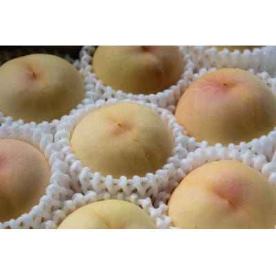 岡山県産「おかやま夢白桃」約2kg|2026年7月下旬以降順次発送予定