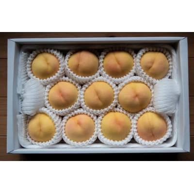 岡山県産「清水白桃」約1kg|2026年7月下旬以降順次発送予定