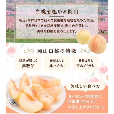 【2026年発送】岡山県産　白桃 6玉 (1.5kg以上) 等級:ロイヤル 化粧箱入り【配送不可地域：離島・北海道・沖縄県】