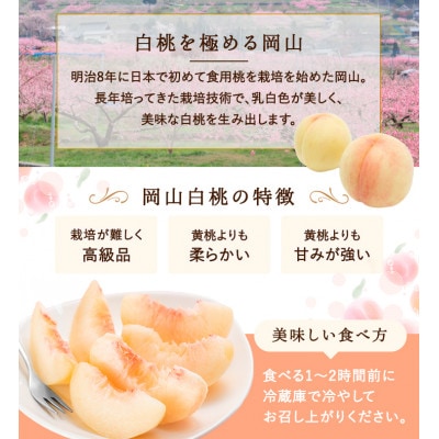 【2026年発送】岡山県産　白桃 8玉(2kg以上) 等級:ロイヤル 化粧箱入り 【配送不可地域：離島・北海道・沖縄県】