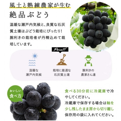 【2026年発送】岡山県産　ニューピオーネ4房(1房480g以上) 【配送不可地域：離島】