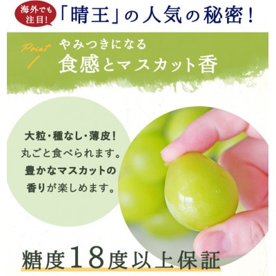 岡山県産 シャインマスカット『晴王』1房(800g以上) 化粧箱入り【配送不可地域：離島】
