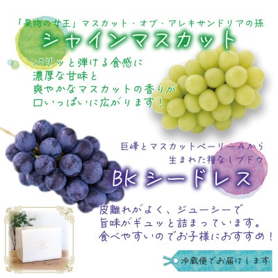 【2026年先行受付】岡山　花笑み農園の『シャインマスカット＆BKシードレス』1kg(2房)BS-1【配送不可地域：離島】
