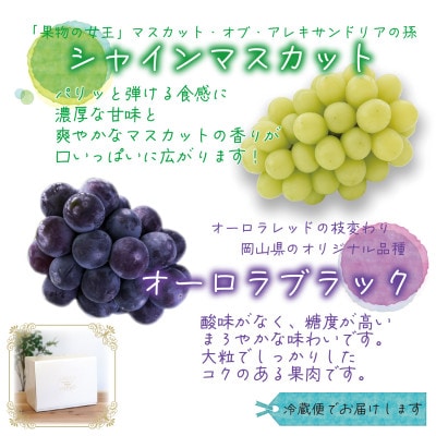 【2026年先行受付】岡山　花笑み農園の『オーロラブラック＆シャインマスカット』1kg　AS-1【配送不可地域：離島】