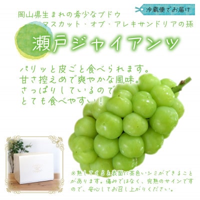 【2026年先行受付】岡山　花笑み農園の『瀬戸ジャイアンツ』1kg(2房)　G-1【配送不可地域：離島】