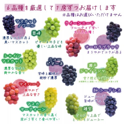 【2026年先行受付】岡山　花笑み農園のブドウ『食べ比べ6種セット』6M-5【配送不可地域：離島】