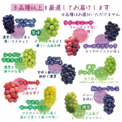 【2026年先行受付】岡山　花笑み農園『ブドウの宝石箱』3種以上(36粒入り)　3M-宝36【配送不可地域：離島】