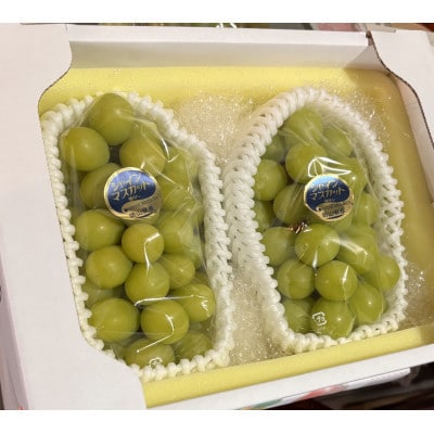 訳アリ家庭用シャインマスカット計1500g糖度18度以上【配送不可地域：離島】