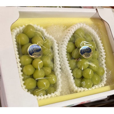 訳アリ　家庭用　糖度18度以上　つみ落としシャインマスカット 計1キロ以上【配送不可地域：離島】