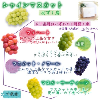 【2026年先行受付】岡山　花笑み農園のブドウ『園主おすすめシャイン親子セット』【配送不可地域：離島】