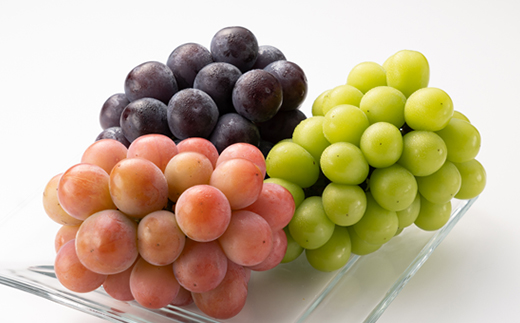 1061.【先行受付】特選大粒ぶどう3種セット(シャインマスカット入り)9月末～12月末発送予定