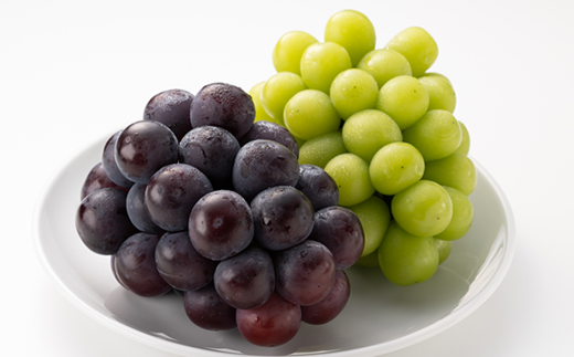 1062.【先行受付】特選大粒ぶどう2種セット(シャインマスカット入り)9月末～12月末発送予定