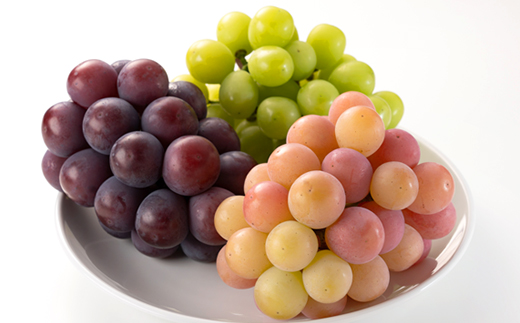 1064.【先行受付】訳あり大粒ぶどう3種セット(9月下旬～12月下旬発送予定)